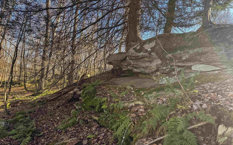 Lot 12 Whitewater Parkway, Bruceton Mills, West Virginia 26525, ,Lots/land,For Sale,Whitewater,10162472 Lot 12 Whitewater Parkway, Bruceton Mills, West Virginia 26525, ,Lots/land,For Sale,Whitewater,10162472