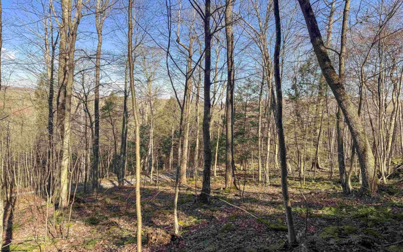 Lot 12 Whitewater Parkway, Bruceton Mills, West Virginia 26525, ,Lots/land,For Sale,Whitewater,10162472 Lot 12 Whitewater Parkway, Bruceton Mills, West Virginia 26525, ,Lots/land,For Sale,Whitewater,10162472
