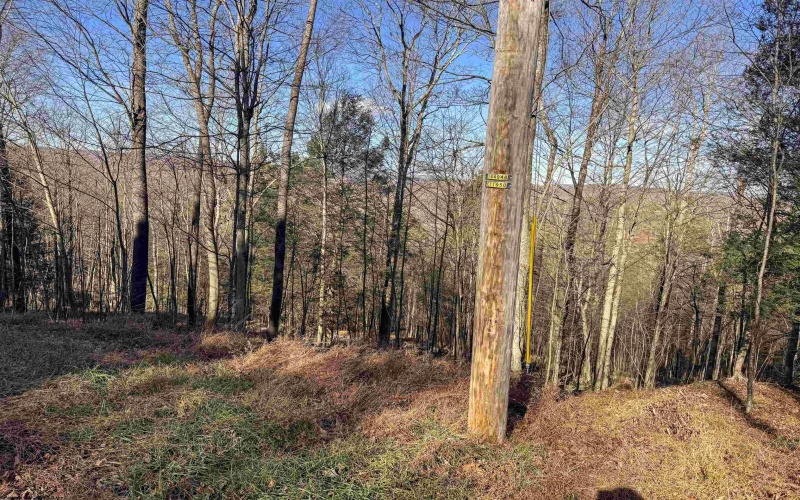 Lot 12 Whitewater Parkway, Bruceton Mills, West Virginia 26525, ,Lots/land,For Sale,Whitewater,10162472 Lot 12 Whitewater Parkway, Bruceton Mills, West Virginia 26525, ,Lots/land,For Sale,Whitewater,10162472