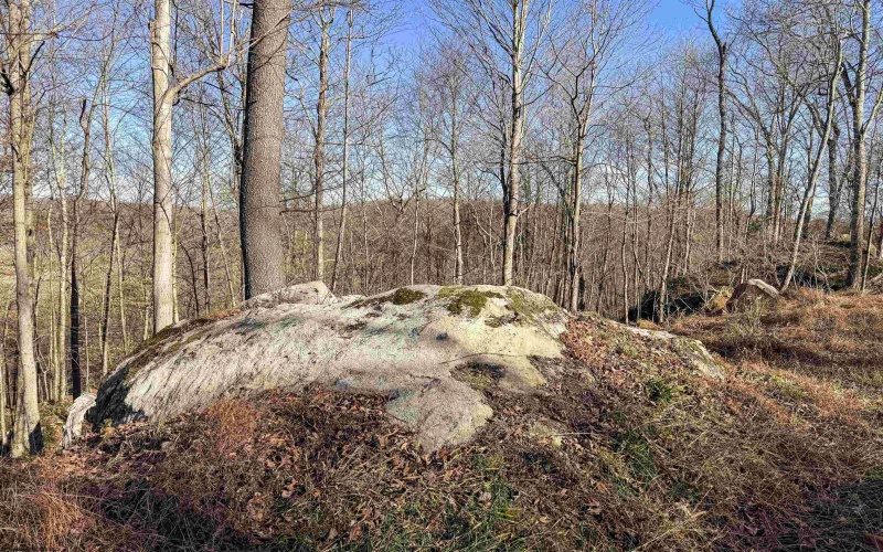 Lot 12 Whitewater Parkway, Bruceton Mills, West Virginia 26525, ,Lots/land,For Sale,Whitewater,10162472 Lot 12 Whitewater Parkway, Bruceton Mills, West Virginia 26525, ,Lots/land,For Sale,Whitewater,10162472