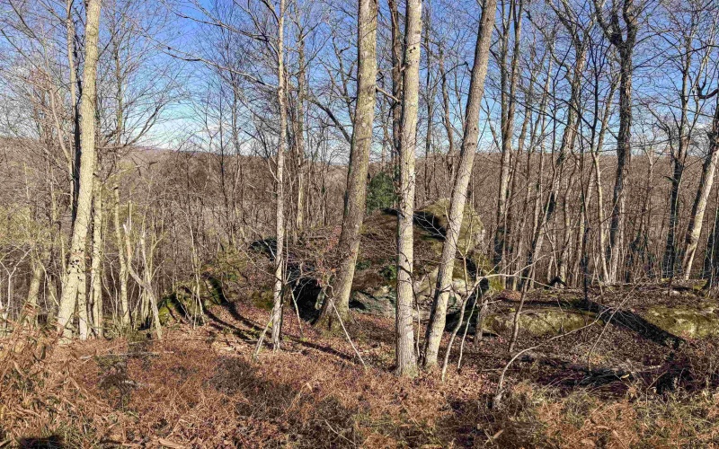 Lot 12 Whitewater Parkway, Bruceton Mills, West Virginia 26525, ,Lots/land,For Sale,Whitewater,10162472 Lot 12 Whitewater Parkway, Bruceton Mills, West Virginia 26525, ,Lots/land,For Sale,Whitewater,10162472