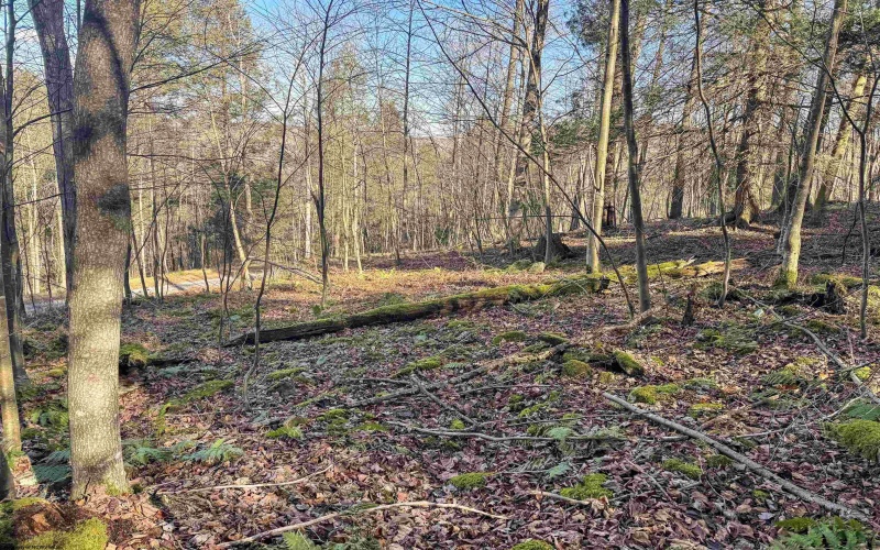 Lot 12 Whitewater Parkway, Bruceton Mills, West Virginia 26525, ,Lots/land,For Sale,Whitewater,10162472 Lot 12 Whitewater Parkway, Bruceton Mills, West Virginia 26525, ,Lots/land,For Sale,Whitewater,10162472