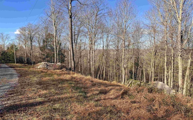 Lot 12 Whitewater Parkway, Bruceton Mills, West Virginia 26525, ,Lots/land,For Sale,Whitewater,10162472 Lot 12 Whitewater Parkway, Bruceton Mills, West Virginia 26525, ,Lots/land,For Sale,Whitewater,10162472