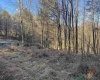 Lot 12 Whitewater Parkway, Bruceton Mills, West Virginia 26525, ,Lots/land,For Sale,Whitewater,10162472 Lot 12 Whitewater Parkway, Bruceton Mills, West Virginia 26525, ,Lots/land,For Sale,Whitewater,10162472