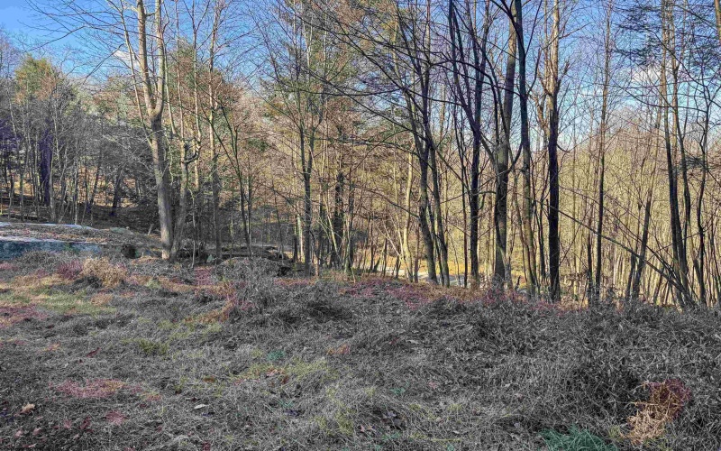 Lot 12 Whitewater Parkway, Bruceton Mills, West Virginia 26525, ,Lots/land,For Sale,Whitewater,10162472 Lot 12 Whitewater Parkway, Bruceton Mills, West Virginia 26525, ,Lots/land,For Sale,Whitewater,10162472