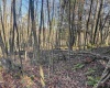 Lot 12 Whitewater Parkway, Bruceton Mills, West Virginia 26525, ,Lots/land,For Sale,Whitewater,10162472 Lot 12 Whitewater Parkway, Bruceton Mills, West Virginia 26525, ,Lots/land,For Sale,Whitewater,10162472