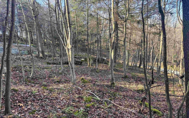 Lot 12 Whitewater Parkway, Bruceton Mills, West Virginia 26525, ,Lots/land,For Sale,Whitewater,10162472 Lot 12 Whitewater Parkway, Bruceton Mills, West Virginia 26525, ,Lots/land,For Sale,Whitewater,10162472