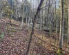 Lot 12 Whitewater Parkway, Bruceton Mills, West Virginia 26525, ,Lots/land,For Sale,Whitewater,10162472 Lot 12 Whitewater Parkway, Bruceton Mills, West Virginia 26525, ,Lots/land,For Sale,Whitewater,10162472