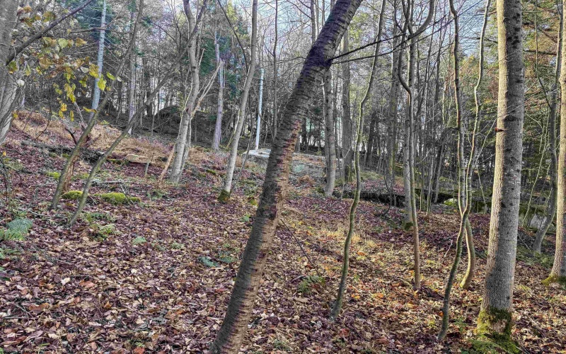 Lot 12 Whitewater Parkway, Bruceton Mills, West Virginia 26525, ,Lots/land,For Sale,Whitewater,10162472 Lot 12 Whitewater Parkway, Bruceton Mills, West Virginia 26525, ,Lots/land,For Sale,Whitewater,10162472