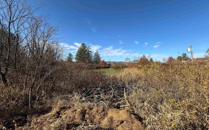 TBD Beverly Pike, Elkins, West Virginia 26241, ,Lots/land,For Sale,Beverly,10162478 TBD Beverly Pike, Elkins, West Virginia 26241, ,Lots/land,For Sale,Beverly,10162478