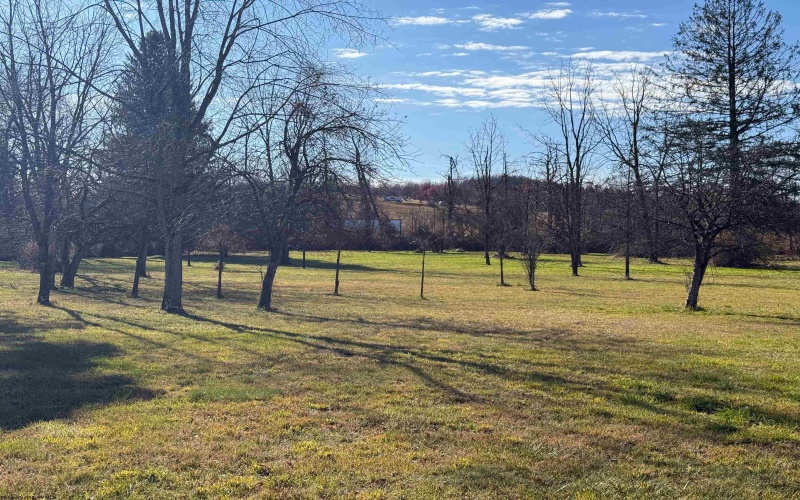 TBD Beverly Pike, Elkins, West Virginia 26241, ,Lots/land,For Sale,Beverly,10162478 TBD Beverly Pike, Elkins, West Virginia 26241, ,Lots/land,For Sale,Beverly,10162478