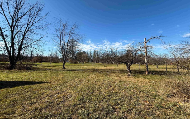 TBD Beverly Pike, Elkins, West Virginia 26241, ,Lots/land,For Sale,Beverly,10162478 TBD Beverly Pike, Elkins, West Virginia 26241, ,Lots/land,For Sale,Beverly,10162478