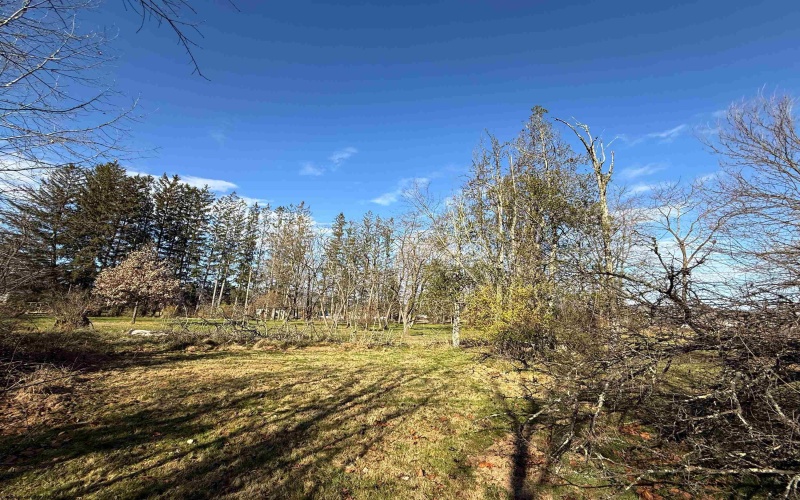 TBD Beverly Pike, Elkins, West Virginia 26241, ,Lots/land,For Sale,Beverly,10162478 TBD Beverly Pike, Elkins, West Virginia 26241, ,Lots/land,For Sale,Beverly,10162478