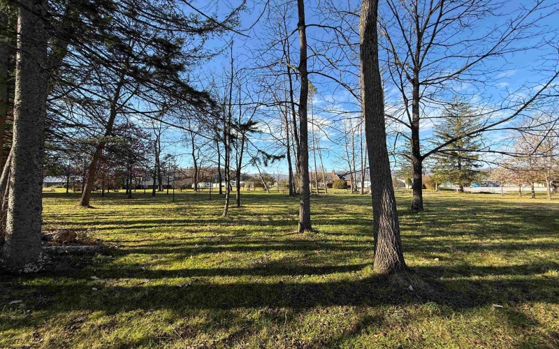 TBD Beverly Pike, Elkins, West Virginia 26241, ,Lots/land,For Sale,Beverly,10162478 TBD Beverly Pike, Elkins, West Virginia 26241, ,Lots/land,For Sale,Beverly,10162478