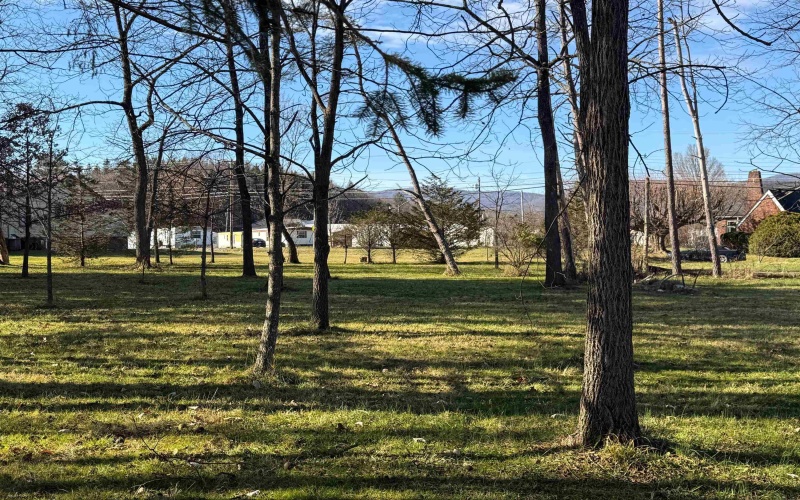 TBD Beverly Pike, Elkins, West Virginia 26241, 0 , 0 ,0,Lots/land,For Sale,Beverly,0,10162478