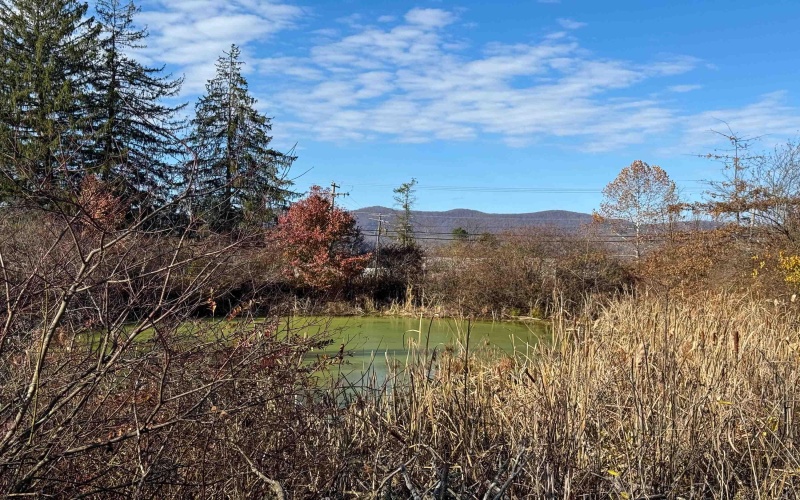 TBD Beverly Pike, Elkins, West Virginia 26241, ,Lots/land,For Sale,Beverly,10162478 TBD Beverly Pike, Elkins, West Virginia 26241, ,Lots/land,For Sale,Beverly,10162478