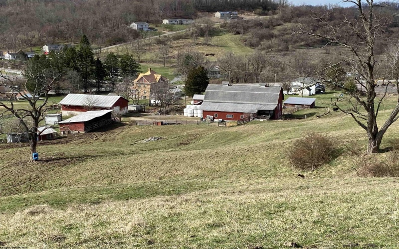 16 Meadowdale Road, Fairmont, West Virginia 26554, ,Lots/land,For Sale,Meadowdale,10162480 16 Meadowdale Road, Fairmont, West Virginia 26554, ,Lots/land,For Sale,Meadowdale,10162480