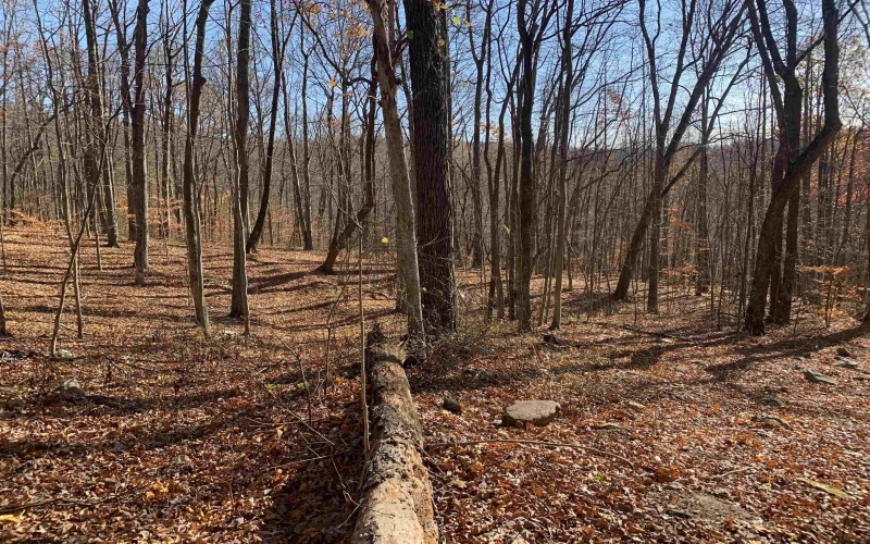 TBD Narrows Road, Philippi, West Virginia 26416, ,Lots/land,For Sale,Narrows,10162484 TBD Narrows Road, Philippi, West Virginia 26416, ,Lots/land,For Sale,Narrows,10162484