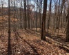 TBD Narrows Road, Philippi, West Virginia 26416, ,Lots/land,For Sale,Narrows,10162484 TBD Narrows Road, Philippi, West Virginia 26416, ,Lots/land,For Sale,Narrows,10162484