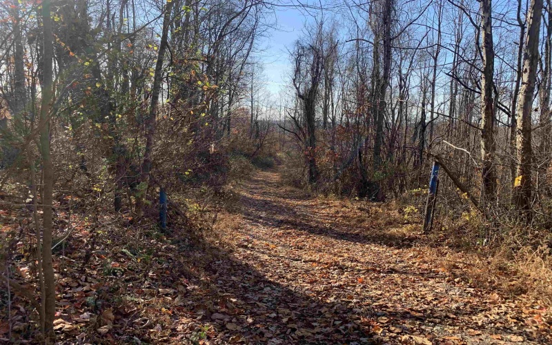 TBD Narrows Road, Philippi, West Virginia 26416, ,Lots/land,For Sale,Narrows,10162484 TBD Narrows Road, Philippi, West Virginia 26416, ,Lots/land,For Sale,Narrows,10162484