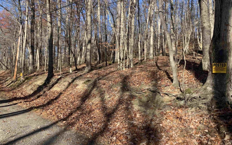 TBD Narrows Road, Philippi, West Virginia 26416, ,Lots/land,For Sale,Narrows,10162484 TBD Narrows Road, Philippi, West Virginia 26416, ,Lots/land,For Sale,Narrows,10162484