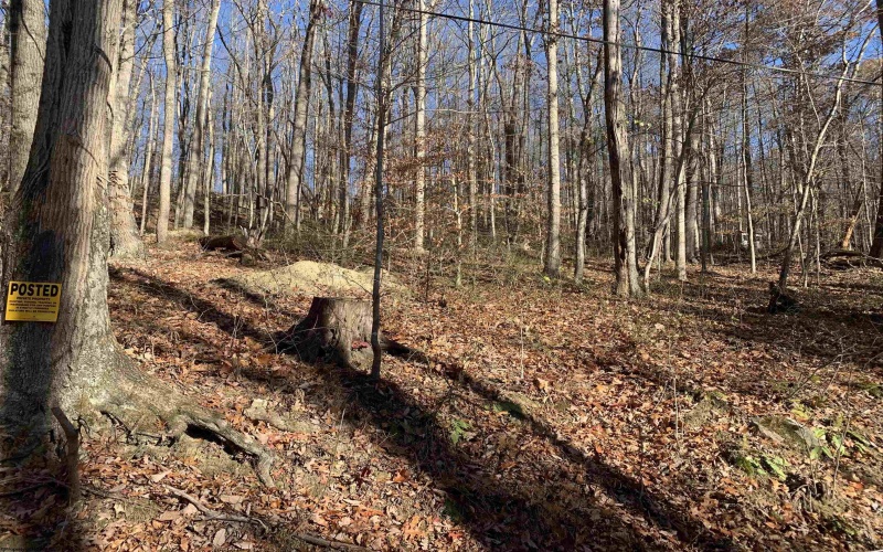 TBD Narrows Road, Philippi, West Virginia 26416, ,Lots/land,For Sale,Narrows,10162484 TBD Narrows Road, Philippi, West Virginia 26416, ,Lots/land,For Sale,Narrows,10162484