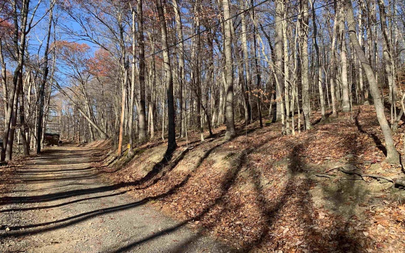 TBD Narrows Road, Philippi, West Virginia 26416, ,Lots/land,For Sale,Narrows,10162484 TBD Narrows Road, Philippi, West Virginia 26416, ,Lots/land,For Sale,Narrows,10162484