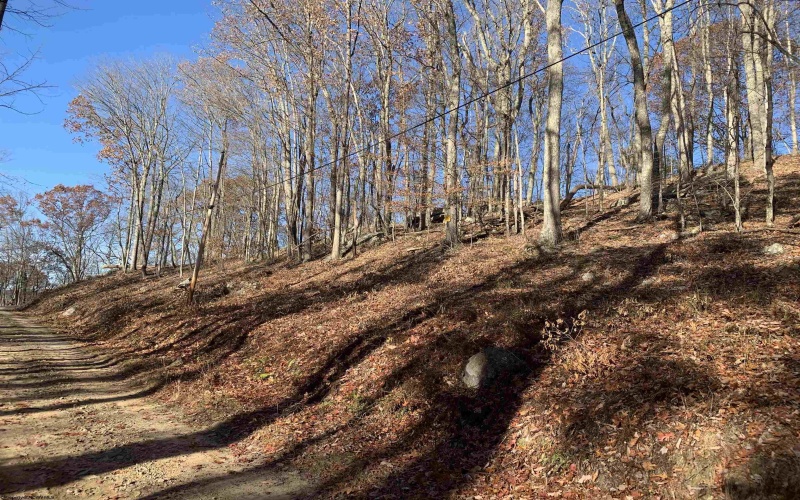 TBD Narrows Road, Philippi, West Virginia 26416, ,Lots/land,For Sale,Narrows,10162484 TBD Narrows Road, Philippi, West Virginia 26416, ,Lots/land,For Sale,Narrows,10162484
