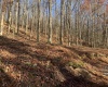 TBD Narrows Road, Philippi, West Virginia 26416, ,Lots/land,For Sale,Narrows,10162484 TBD Narrows Road, Philippi, West Virginia 26416, ,Lots/land,For Sale,Narrows,10162484