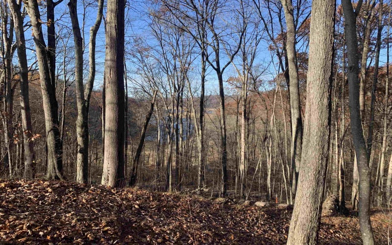 TBD Narrows Road, Philippi, West Virginia 26416, ,Lots/land,For Sale,Narrows,10162484 TBD Narrows Road, Philippi, West Virginia 26416, ,Lots/land,For Sale,Narrows,10162484