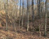 TBD Narrows Road, Philippi, West Virginia 26416, ,Lots/land,For Sale,Narrows,10162484 TBD Narrows Road, Philippi, West Virginia 26416, ,Lots/land,For Sale,Narrows,10162484