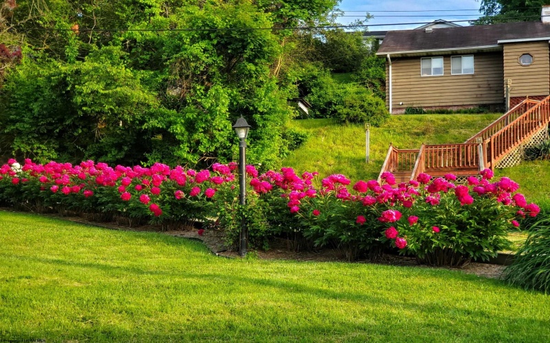 89 Station Street, Shinnston, West Virginia 26431, 2 Bedrooms Bedrooms, 7 Rooms Rooms,2 BathroomsBathrooms,Single Family Detached,For Sale,Station,10162474 89 Station Street, Shinnston, West Virginia 26431, 2 Bedrooms Bedrooms, 7 Rooms Rooms,2 BathroomsBathrooms,Single Family Detached,For Sale,Station,10162474