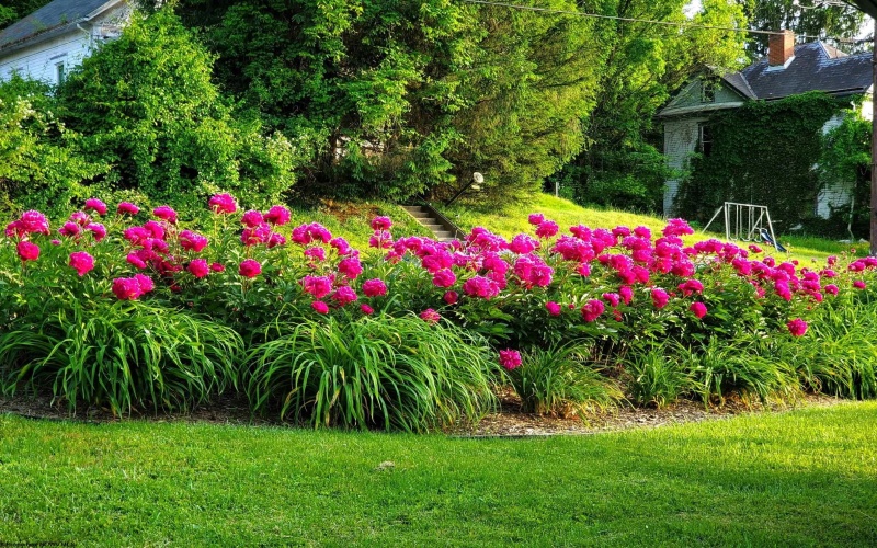 89 Station Street, Shinnston, West Virginia 26431, 2 Bedrooms Bedrooms, 7 Rooms Rooms,2 BathroomsBathrooms,Single Family Detached,For Sale,Station,10162474 89 Station Street, Shinnston, West Virginia 26431, 2 Bedrooms Bedrooms, 7 Rooms Rooms,2 BathroomsBathrooms,Single Family Detached,For Sale,Station,10162474