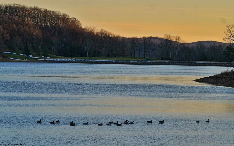 158 Dogwood Lane, Terra Alta, West Virginia 26764, 3 Bedrooms Bedrooms, 7 Rooms Rooms,2 BathroomsBathrooms,Single Family Detached,For Sale,Dogwood,10162489