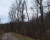 TBD Jack Run Road, Bridgeport, West Virginia 26330, ,Lots/land,For Sale,Jack Run,10157077
