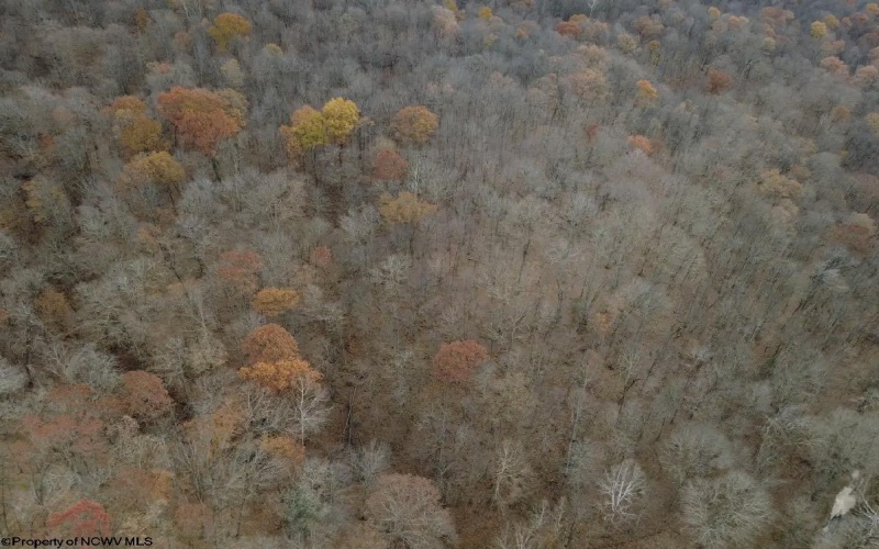 TBD Sand Fork Road, Walkersville, West Virginia 26447, ,Lots/land,For Sale,Sand Fork,10162503 TBD Sand Fork Road, Walkersville, West Virginia 26447, ,Lots/land,For Sale,Sand Fork,10162503