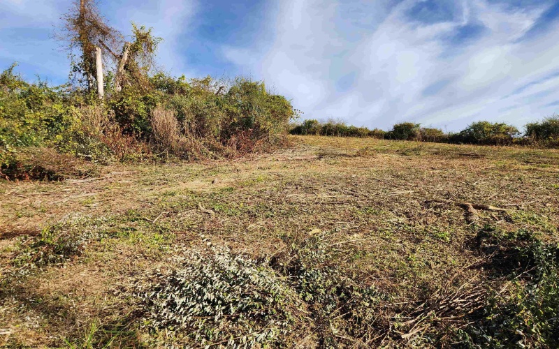 TBD Hidden Valley Road, Lost Creek, West Virginia 26385, ,Lots/land,For Sale,Hidden Valley,10162521