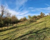 TBD Hidden Valley Road, Lost Creek, West Virginia 26385, ,Lots/land,For Sale,Hidden Valley,10162521