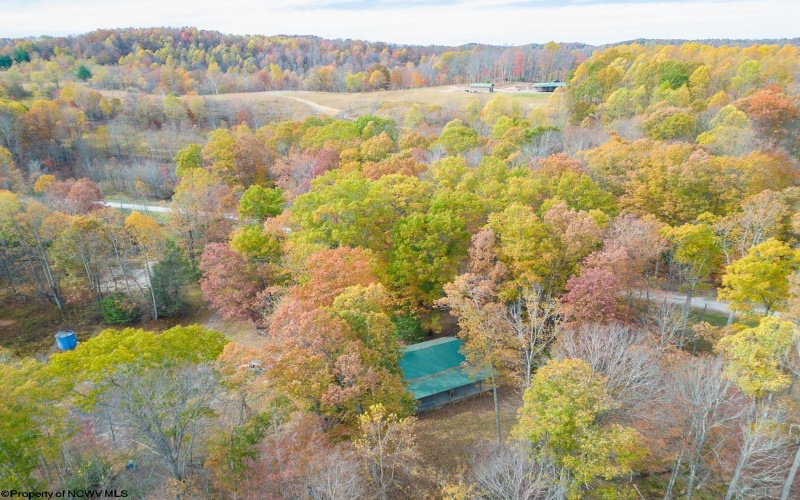 1092 Hinkle Ridge Road, French Creek, West Virginia 26218, ,Lots/land,For Sale,Hinkle Ridge,10162524