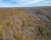 1092 Hinkle Ridge Road, French Creek, West Virginia 26218, ,Lots/land,For Sale,Hinkle Ridge,10162524