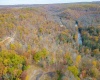 1092 Hinkle Ridge Road, French Creek, West Virginia 26218, ,Lots/land,For Sale,Hinkle Ridge,10162524
