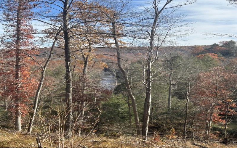 1092 Hinkle Ridge Road, French Creek, West Virginia 26218, ,Lots/land,For Sale,Hinkle Ridge,10162524