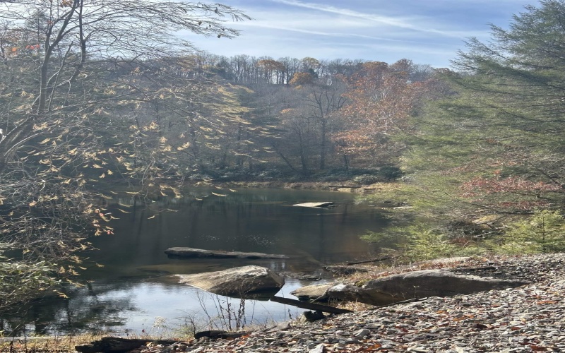 1092 Hinkle Ridge Road, French Creek, West Virginia 26218, ,Lots/land,For Sale,Hinkle Ridge,10162524