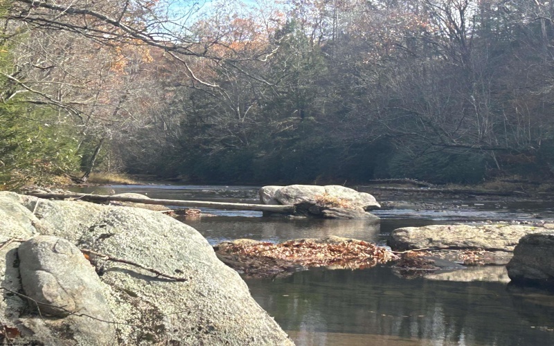 1092 Hinkle Ridge Road, French Creek, West Virginia 26218, ,Lots/land,For Sale,Hinkle Ridge,10162524