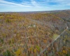1092 Hinkle Ridge Road, French Creek, West Virginia 26218, ,Lots/land,For Sale,Hinkle Ridge,10162524