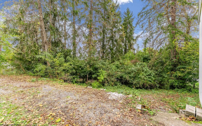 225 WAVERLY Street, Morgantown, West Virginia 26505, 2 Bedrooms Bedrooms, 5 Rooms Rooms,1 BathroomBathrooms,Single Family Detached,For Sale,WAVERLY,10162525