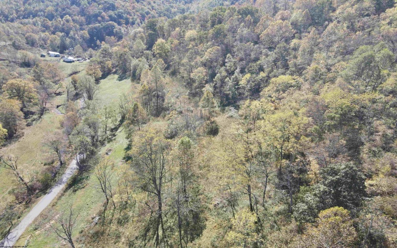 7935 Servia Elmira Road, Duck, West Virginia 25063, 4 Bedrooms Bedrooms, 8 Rooms Rooms,3 BathroomsBathrooms,Single Family Detached,For Sale,Servia Elmira,10162522