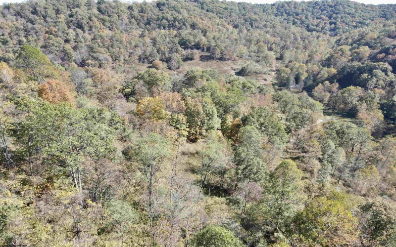 7935 Servia Elmira Road, Duck, West Virginia 25063, 4 Bedrooms Bedrooms, 8 Rooms Rooms,3 BathroomsBathrooms,Single Family Detached,For Sale,Servia Elmira,10162522