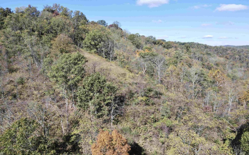 7935 Servia Elmira Road, Duck, West Virginia 25063, 4 Bedrooms Bedrooms, 8 Rooms Rooms,3 BathroomsBathrooms,Single Family Detached,For Sale,Servia Elmira,10162522