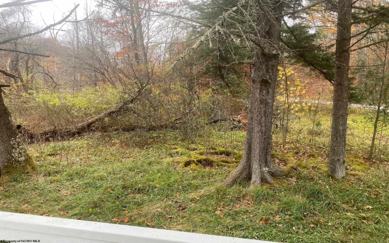 114 Alpena Gap Road, Bowden, West Virginia 26254, 2 Bedrooms Bedrooms, 4 Rooms Rooms,1 BathroomBathrooms,Single Family Detached,For Sale,Alpena Gap,10162520